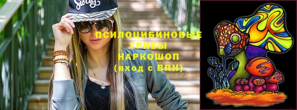 дживик Алексеевка